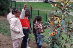 1_25112025-IMG_20251125_095126