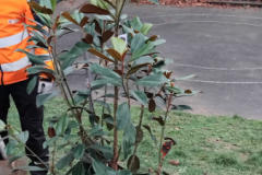 1_25112025-IMG_20251125_095743